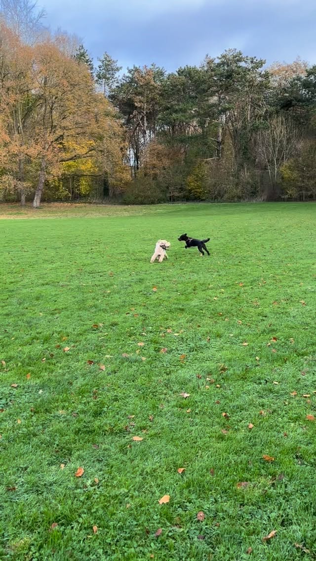 Wat een gezelligheid op donderdagmiddag!!๐๐