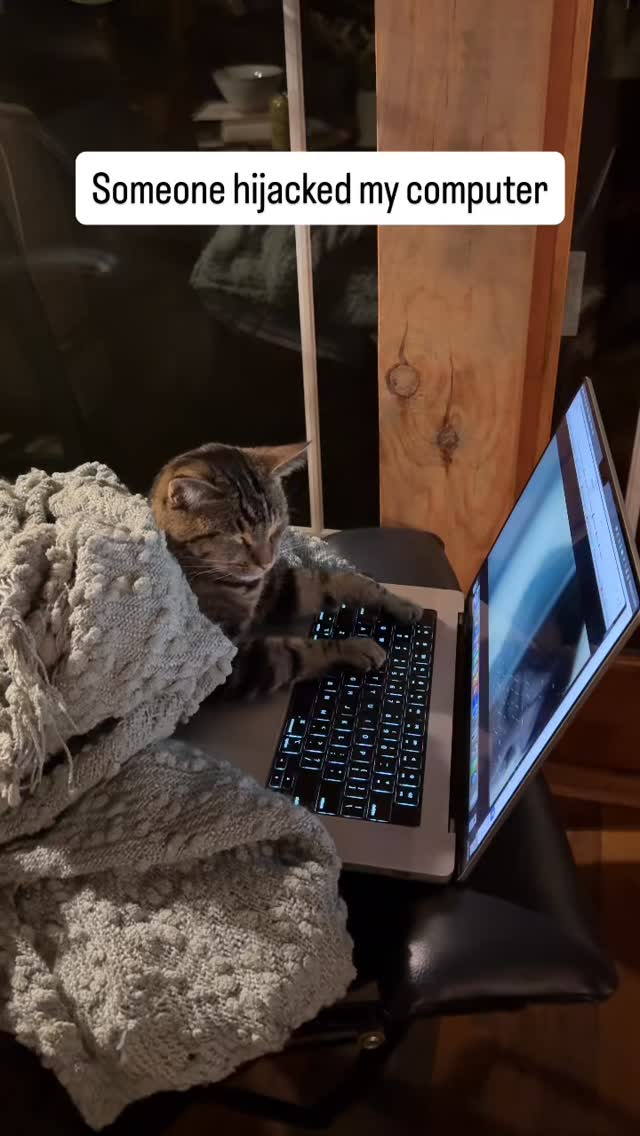 My cat Skunk, acting like she's a human 🤔
#cat #cats_of_instagram #cats #catvideos #catloversworld #catoftheday #catlover #catlife