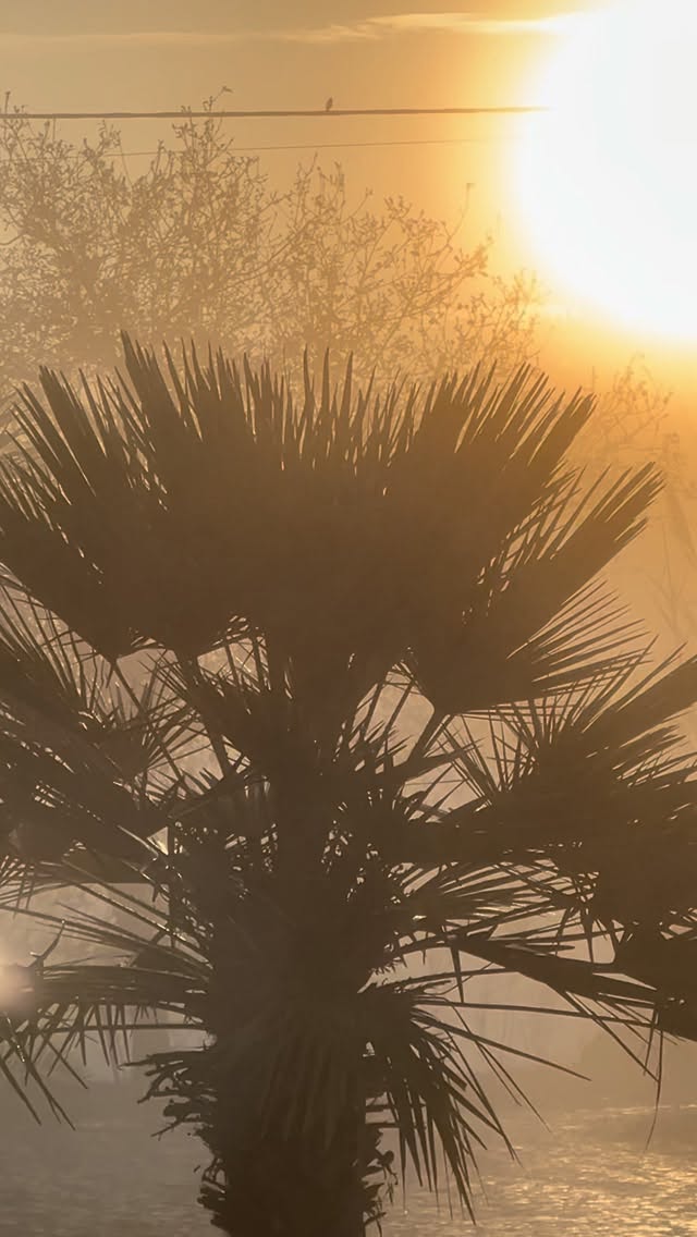 244 days
So many guests to meet and so many beautiful moments shared together
Over than 2500 crêpes
Dozens of sunsets.
Way too many photos of our cute animals.
And this year feels particularly special to us.
It’s our 5th anniversary, we feel incredibly lucky and fulfilled to have the opportunity to do what we love and what we live for.
Hosting for five years has been the most wonderful and human experience.
And that’s why we want to keep going, keep growing — and we have some news coming very soon 🫶
Wishing everyone a peaceful rest and a cozy winter.
See you for the reopening in 2026
Casa tudo bem team
#casatudobem #portugal #tudobem #guesthouse #baleal #oceanlife #lifestyle #chambredhotes