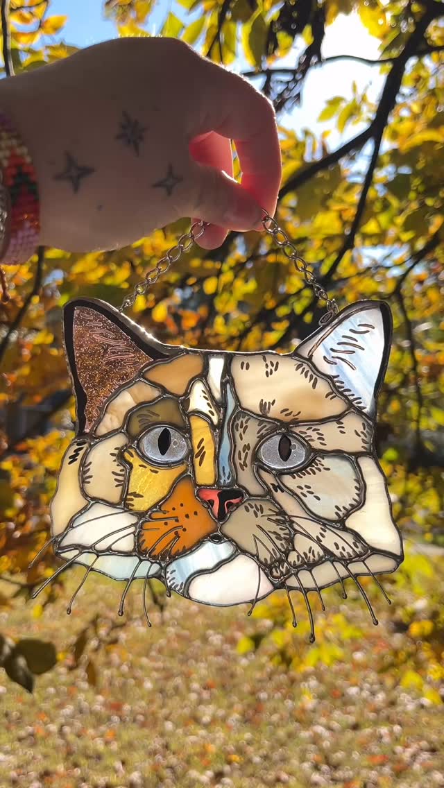 We did this piece for a friend (@wildiriscrafts 💕) a while back and I have always been disappointed with the photos I’ve gotten until the other day… the satisfaction of finally getting The Shot™️ is unmatched. This is Eleanor! Such a sweet and fluffy little baby, and I love this piece in the fall sunshine 🥰 #stainedglassartist #stainedglassart #stainedglass #paigeboy #glassartist #petportraitartist #catportraits