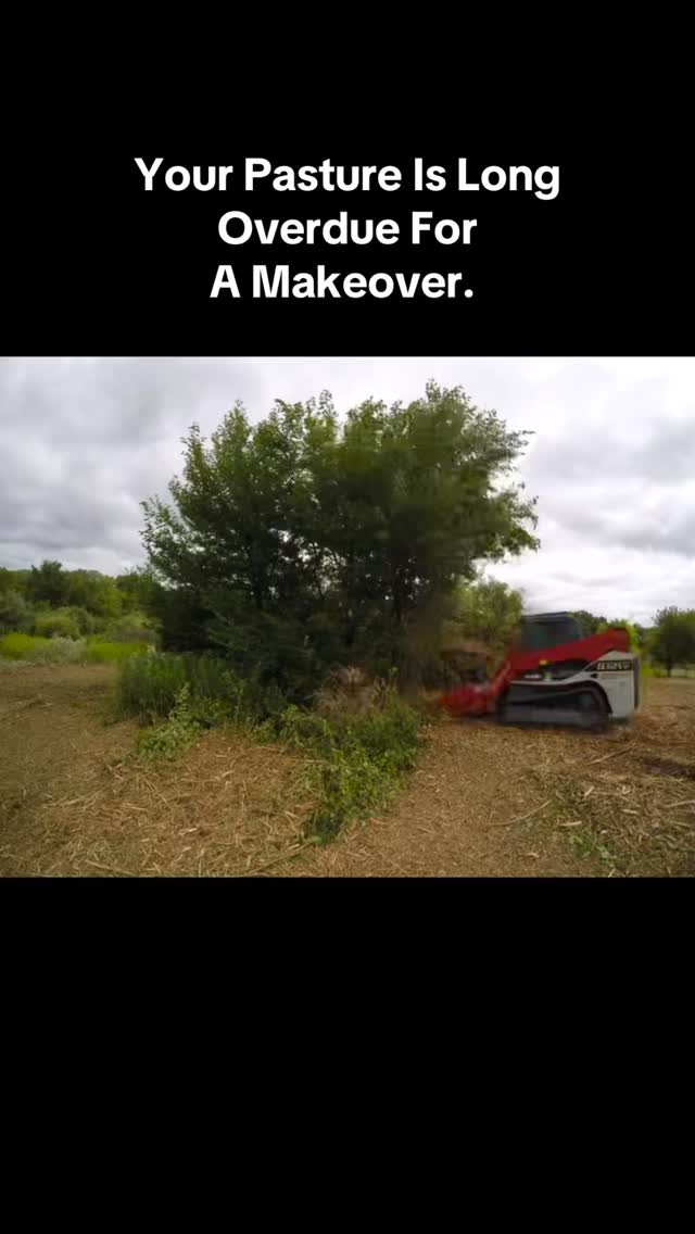 From brush to pasture — giving this land back its purpose.
#PastureClearing #LandClearing #PrimeHabitatManagement #IllinoisLandManagement