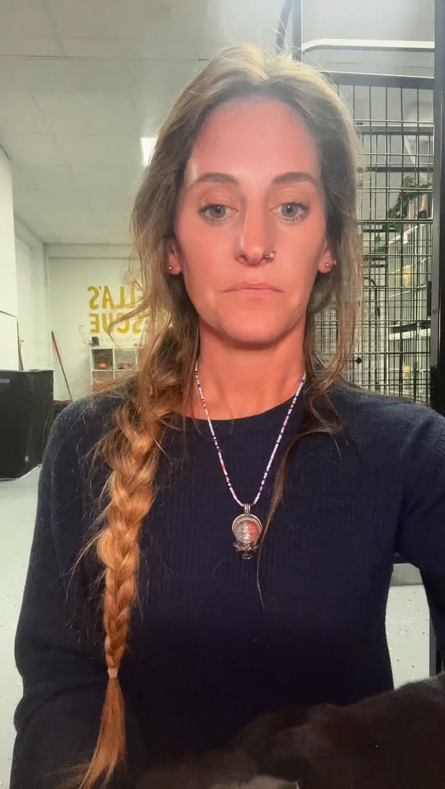 ✔️Still good: Gunky & Frijole. ✔️Still eating cake but sharing: Buffy and Blair.
✔️Still looking for a home: all of them. #dogsoftiktok #adoptdontshop #catsoftiktok
#rescuedog #winstonsalem