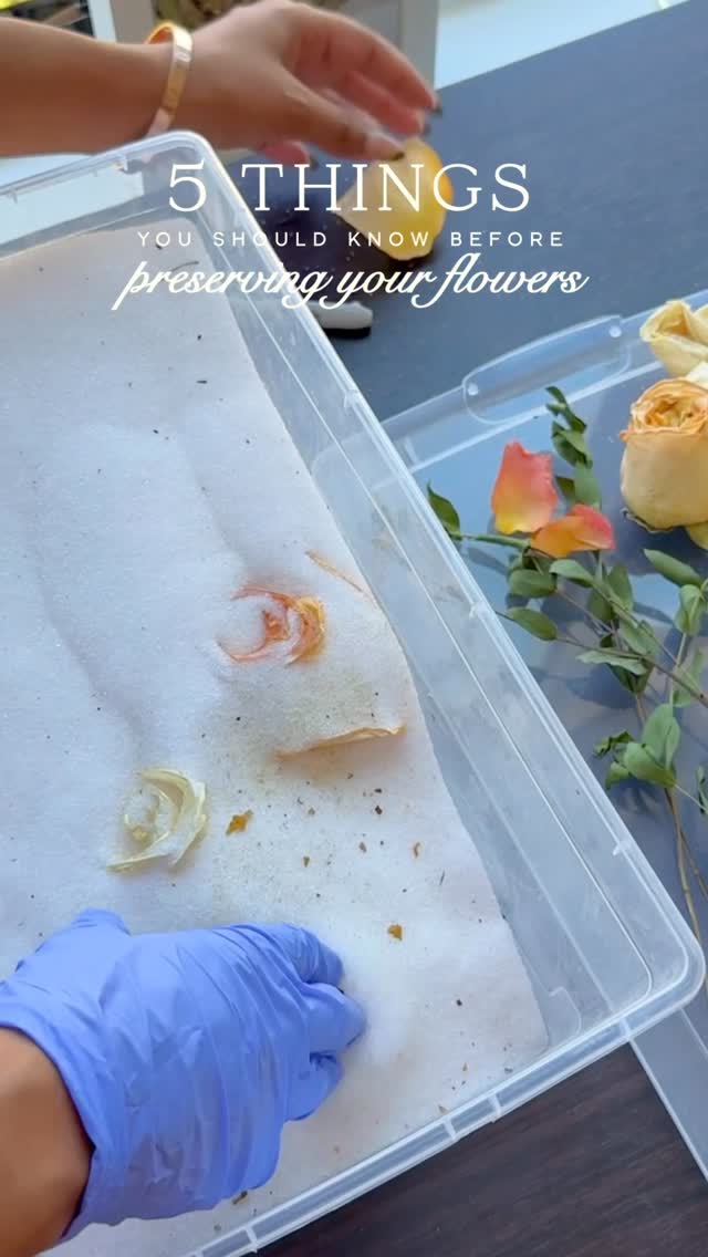 Before you toss your bouquet… read this first 💌
If you’re thinking about preserving your wedding or memorial flowers, here are 5 things you should know (that most people only learn when it’s too late 👀)
▫️ Book your artist early
Not just to save your date, but to make time for a real chat about your bouquet, flower types, and what designs will bring them to life beautifully. Planning ahead means your piece is as thoughtful as your day. 🤍
▫️Timing is everything
The fresher your flowers, the better the result. Ideally, we should receive them within 2–3 days of your event. And, we’ll guide you on how to store or ship them safely.📦
▫️ You’ve got options!
Resin blocks, trays, shadow boxes, pressed frames- each tells your story differently. We’ll help you choose what fits your blooms and your space.
▫️ Faded flowers? No problem!
Even if your bouquet has browned or wilted, our color correction process restores their tones before preservation. Your piece will still look vibrant and full of life. 🥀
▫️Good things take time
Each flower is dried, arranged, and poured in layers of resin. It’s a slow, detailed process, but that’s what makes your keepsake last forever. 🥰
Whether it’s your wedding bouquet or memorial blooms, we’ll guide you through every step; with care, creativity, and heart. 🤍
💬 DM us to book your free consultation! Let’s make sure your flowers (and the memories they hold) are preserved beautifully, forever.
#weddingbouquetpreservation #floralpreservation #weddingkeepsake #vancouverbride #vancouverweddings #weddingmoments #heirloomkeepsake #pressedflowerart #pressedflowerframe