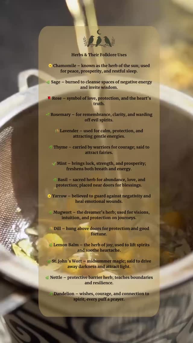 🌿 Long before modern medicine, our ancestors turned to the plants that grew around them — each one holding a purpose, a story, and a little bit of magic. 🌿🕯️ Let’s honor the old ways.
#rootedintradition
#herbalfolklore
#folkherbalism
#plantmagic
#herbalwisdom
#naturetraditions
#holistichealing
#apothecarylife
#threecrowsapothecary
#rootedintradition
#herbalistinthemaking