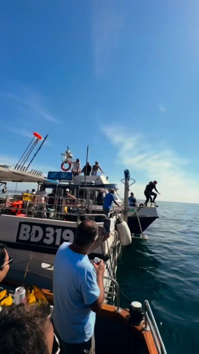 Refelecting on another remarkable season! 💙
Kittiwake has now been lifted from the water for a well-earned rest - and what better moment to pause and reflect on the wonderful season!
To each and every guest who stepped aboard this year, we extend our heartfelt thanks. Your laughter, good company, and sense of adventure have made this season truly unforgettable.
We look forward to welcoming you back next year for more unforgettable moments on the water.
Until then, do keep an eye on our social channels for a few behind-the-scenes glimpses, updates, and news from Kittiwake HQ. 💙
#ilfracombe #boattrips #northdevon #adventure #visitdevon #lovenorthdevon #summer #makingmemories #kittiwake