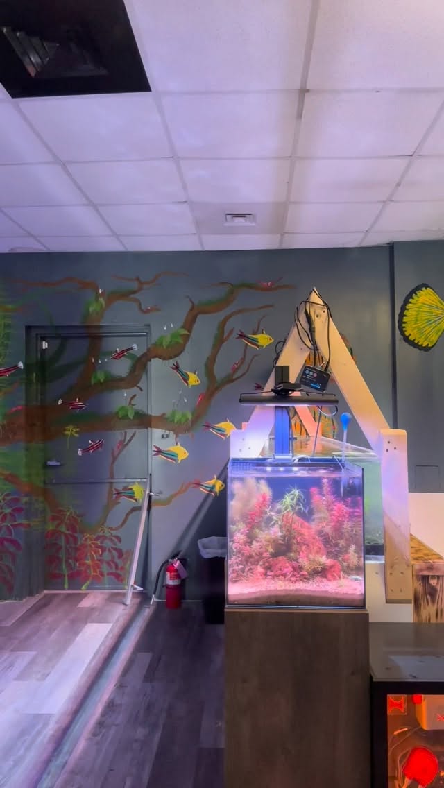 Today’s your last chance to save big during our 10-Year Anniversary Sale! 🎉
Huge deals across the store, raffle prizes, and fresh shipments just arrived. Don’t miss out — sale ends tonight! 🐠
.
.
Under The Sea
📍 3816 Sardis Church Rd, Monroe, NC 28110
📞 (980) 328-0000
🕒 Tuesday–Saturday: 11AM – 6PM
Sunday: 12PM – 5PM
Closed Monday
🔗 https://undertheseanc.com
#UnderTheSeaNC #AquariumLife #SummerVibes #OceanInYourHome #AquariumMaintenance #ReefTank #SaltwaterAquarium #CoralReef #Aquascape #FishTankGoals #reeftank #saltwateraquarium #coralreef #aquariumhobby #aquascape #reefaddict #tropicalfish #aquariumlife #fishtank #coral #reefaquarium #plantedtank #fishkeeping #aquariumsofinstagram