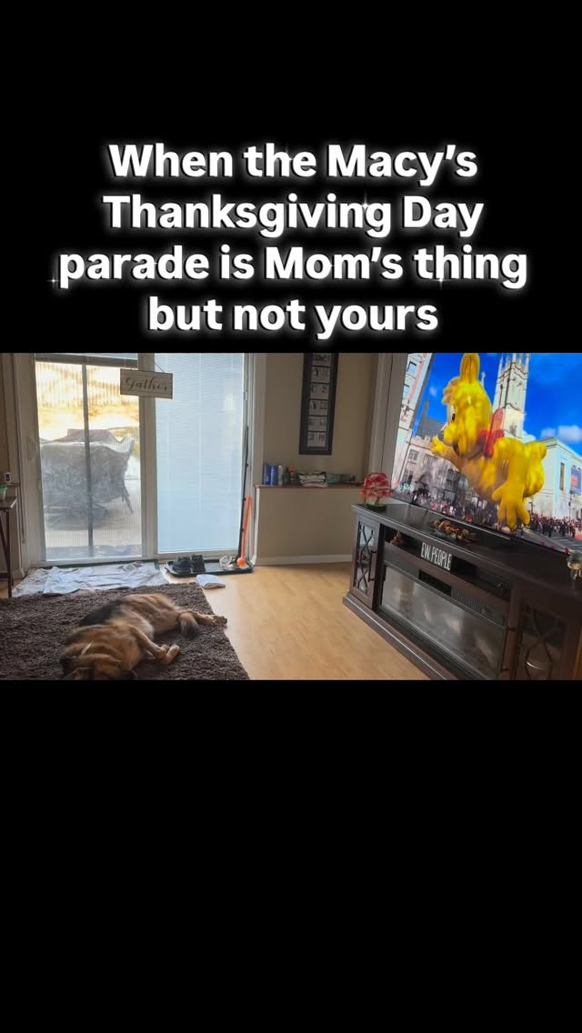 #thanksgiving #macysthanksgivingdayparade #dogsofinstagram #gsd #germanshepherd #gsdofinstagram #gsdlife #gsdlove #dogs #gsdrules