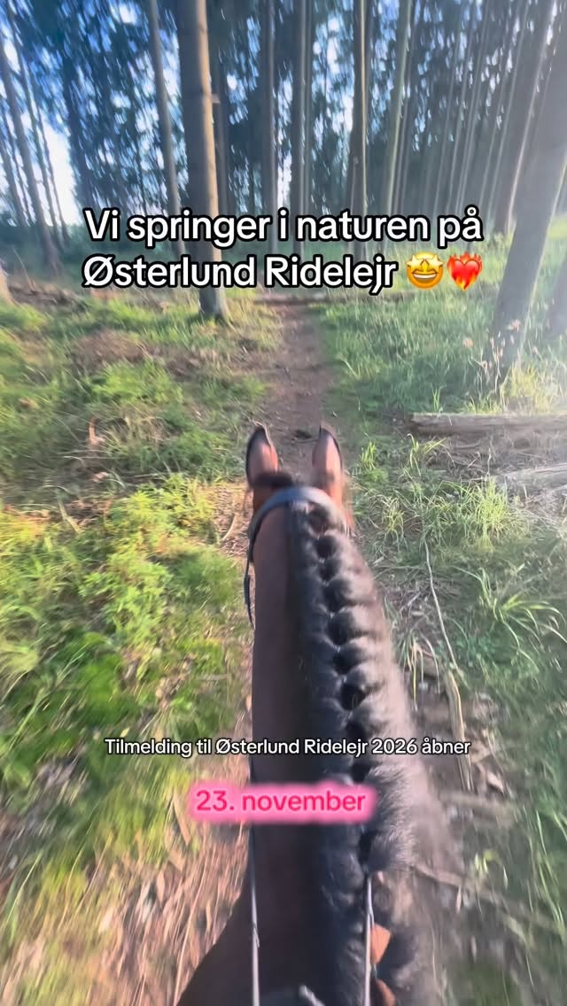 Vi elsker at springe i naturen på Danmarks Sjoveste Ridelejr!🥳🩷 Vi ses til sommer☀️ #østerlundridelejr #danmarkssjovesteridelejr