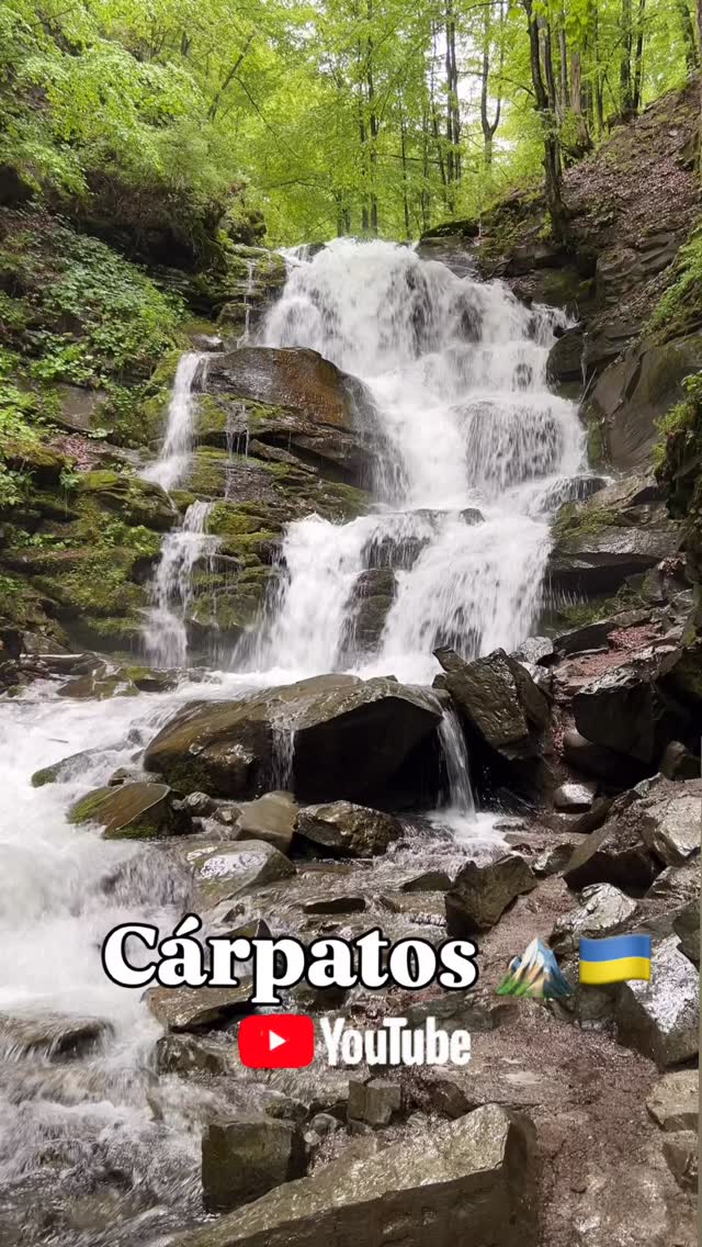 Novo vídeo já está no nosso canal YouTube
O link está na bio @azul.e.amarelo
#ucrania #azuleamarelo