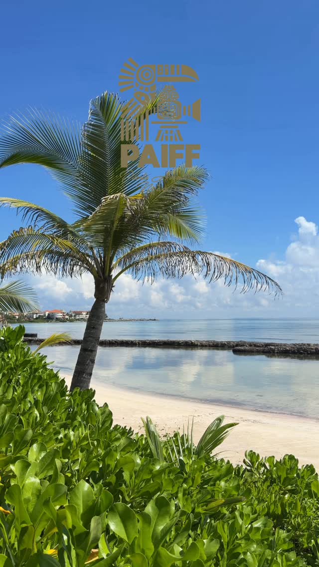 Get your early bird pass discount today ($50 off! With the code EARLYBIRD26)
Still accepting submissions for a limited time.
#callforentries #filmfestival #paiff #pafilmfestival #tulum #playadelcarmen #rivieramaya #filmfreeway #filmmakers #filmmaker #puertoaventuras @puertoaventurasoficial