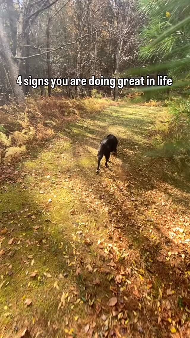 Its easy for me to wonder what’s next? How do I get more? Is this enough?
But when I take a second to appreciate everything I already have I realize we are beyond lucky! We have everything we NEED, the rest is just a bonus.
#grateful #farming #newengland #connecticut #blessed #thanksful #workinghardorhardlyworking