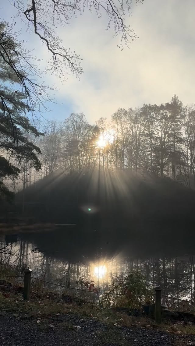 A cozy, foggy morning🐦⬛☀️🫶