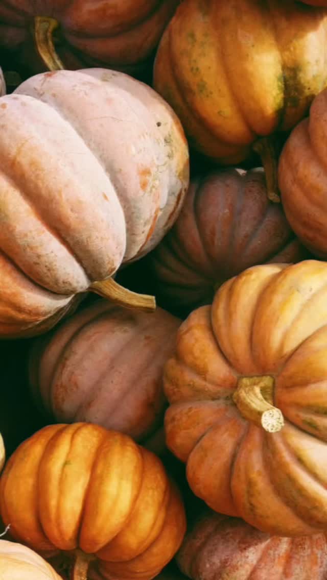 When we intentionally focus on what we’re thankful for, our brain releases dopamine and serotonin — the same chemicals that lift our mood and calm the nervous system. Over time, this shifts our brain’s default pattern from scanning for danger or lack… to noticing safety, beauty, and abundance.
Neuroscientists have found that consistent gratitude practice actually strengthens the prefrontal cortex — the part of the brain responsible for emotional regulation and decision-making. That means gratitude doesn’t just change how we feel in the moment… it changes how we see and respond to life as a whole!! 💫