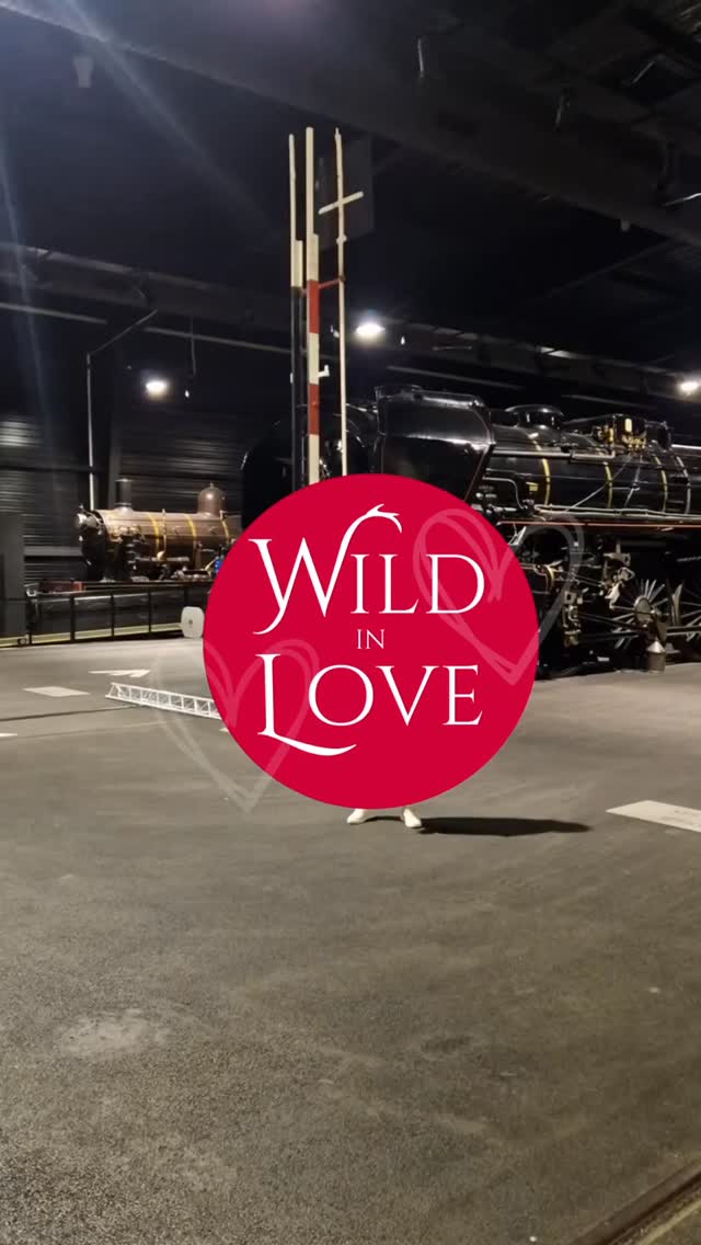 ✨ Il y a presque un mois, les portes du Wild in Love Festival – édition Mulhouse se refermaient.
Pendant deux jours, la Cité du Train s’est transformée en un lieu d’amour, de créativité et d’audace.
C’était intense. vivant. magique. 💫
Une première édition mulhousienne dont on est si fières, parce qu’on y a retrouvé l’âme du Wild, avec notre touche à nous.
Presque 1 mois plus tard, on ressent encore cette fierté, cette joie d’avoir réuni une si belle communauté.
Merci à tous les exposants, aux visiteurs, aux ambassadeurs — et à vous, la Wild team 💘
Aujourd’hui, on replonge dans ces souvenirs à travers les images de cette édition inoubliable…
et on se tourne déjà vers la suite.
Parce que le Wild in Love 2026, ce sera les 10 ans du festival 🎉
Et croyez-nous, vous n’êtes pas prêts !
#mariagealsace #wildinlovefestival #salondumariage #mariagedécalé #inspirationmariage