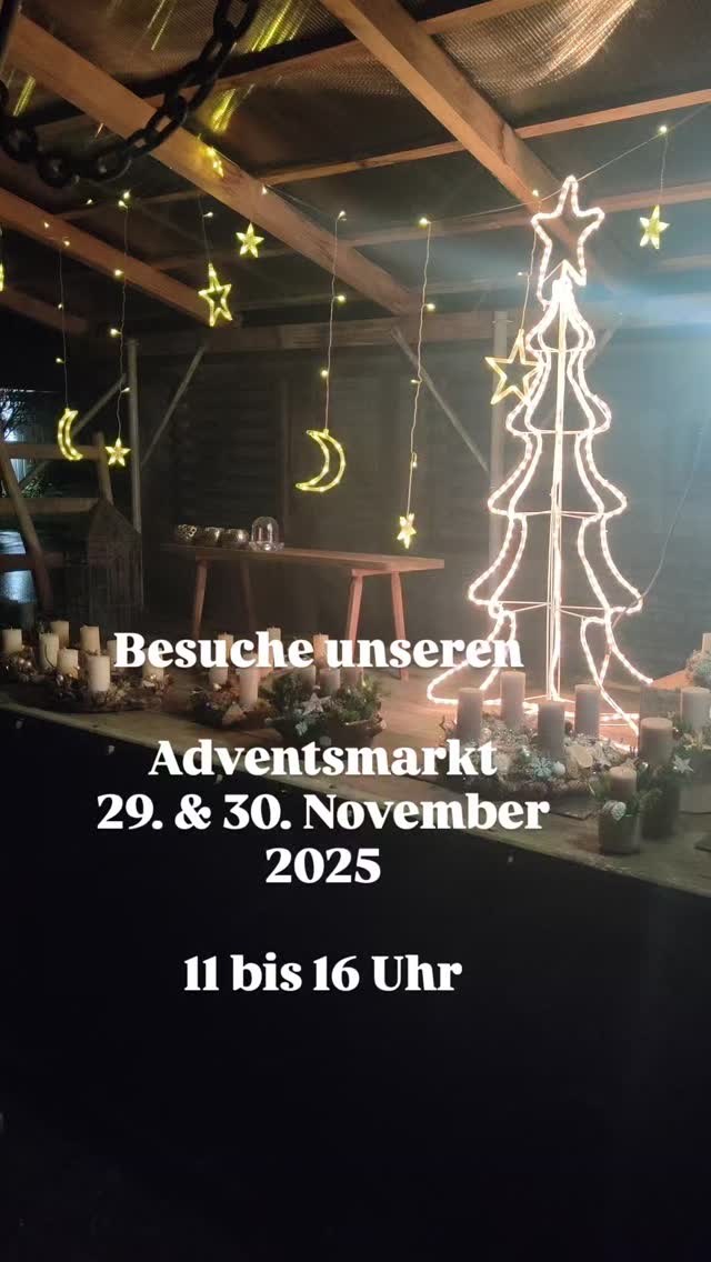 Wir freuen uns, euch zu unserem Adventsmarkt in der Kaktusgärtnei einzuladen
Adventsgestecke mit #Sukkulentenliebe 🌿💚 – ein Hauch Wüste trifft Weihnachtszauber! #Adventszeit #Kaktusliebe #HandgemachtMitLiebe #GrünerAdvent