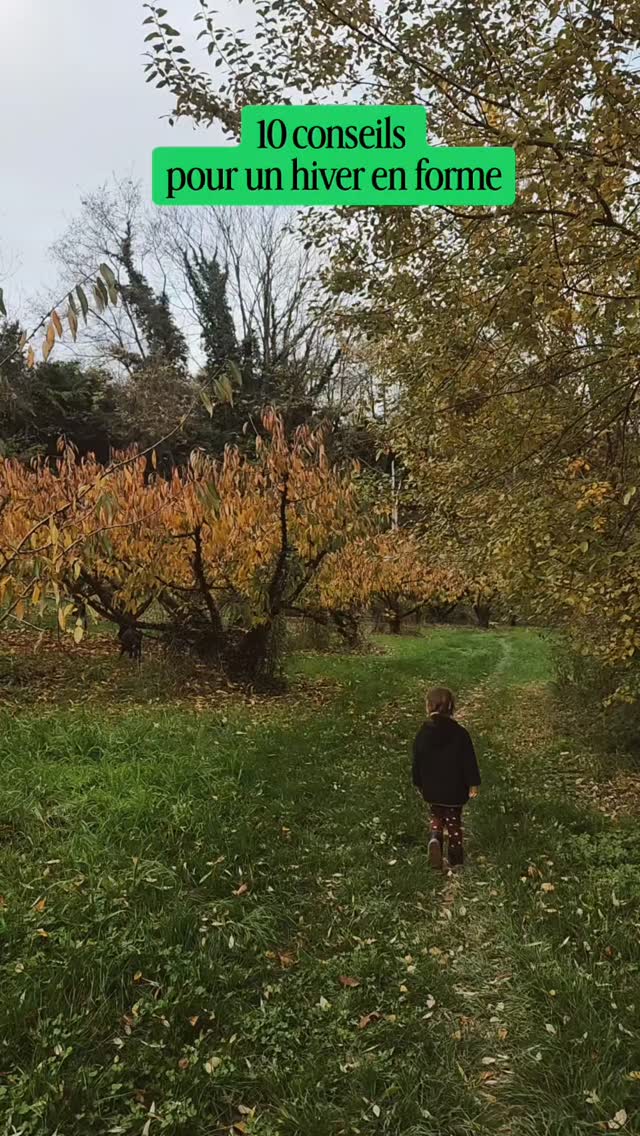 ⬇️⬇️ LA SUITE ⬇️⬇️
..
8. Les plantes pour soutenir : gingembre, ail, curcuma, echinacée, astragale, thym, sureau..🌿
..
9. Ne saute pas de repas & pense protéines ++
🥩🍳
..
10. Micronutrition adaptée : zinc, sélénium, vitamine C, vitamine A, vitamine D, fer et oméga 3..
..
🌞 Merci de partager, commenter, republier et de faire vivre ce compte 🥰
..
Je suis Candice, Naturopathe et Doula.
Je t'aide à retrouver la santé (et celle de tes enfants) pour incarner pleinement ta vie de femme 🌿
Pour rappel : prise de rdv possible (voir bio) pour t'accompagner sur ce chemin 💪
..
#naturopathie #fatigue #immunité #vitamined #automne #hiver #santenaturelle #maladie #soignerparlesplantes #nutrition #vitaminec