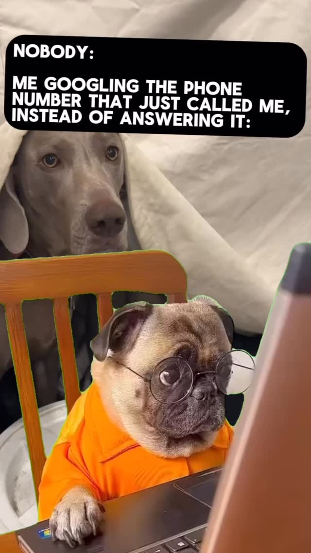 do you do this too😂 Join us at DOGAROOO — the Ultimate Dog Convention! 🐾🐕🐩
Mark your calendars 🗓️ March 6–7, 2027 at the @pasadena_conventioncenter in Pasadena, CA! This is the can’t-miss event for dog lovers everywhere. 🐶✨
Here’s what you & your pup can look forward to:
✨ Vendors & Sponsors with treats, toys, food & must-have products
🎓 Meet & learn from some of the world’s top dog trainers
🏡 On-site adoption area in partnership with local shelters ❤️
👑 Dog costume contest + “Best in Show” competition
🌳 Dog park, pet games, dog art, fashion and fun for the whole family
Our mission at Dogarooo Convention is simple: create the ultimate experience for dog owners while helping pups across California find their forever homes. 🐾
🐕💼 Interested in sponsoring or booking a booth? Email us through the link in our bio today!
📍 Pasadena Convention Center
📅 March 6–7, 2027
#Dogarooo #DogConvention #pasadenadogs #DogParents #DogsOfInstagram #amazonpets #amazondogs #convention #conventions #rescuedogsofinstagram #dogevent #dogreels #doginfluencer #doginfluencers #doginfluencersofinstagram #dogtoysofinstagram #petexpo #funnydogvideos #reactionvideo #reactionmemes #funnydog #losangelesdogs #cutedog #doginfluencersofinstagram #funnydogreels #funnydog #funnydog #dogmeme #dogs #funnydogmemes #weimaraner #pugs #funnyreel