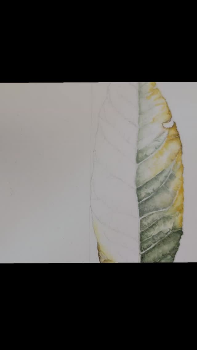 Die Rückkehr zum Wesentlichen.
Die Rückkehr zu dir selber.
#pingere vita