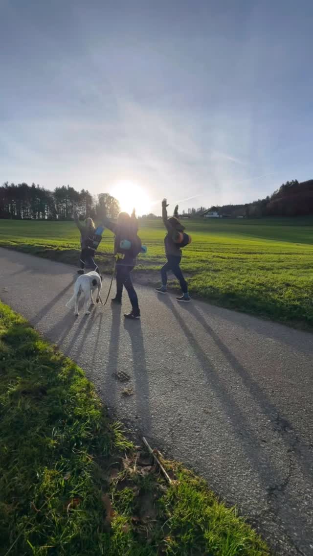 Suggental – Powerful start into the day
1 Hour Tour for More Strength & Relaxation 🌿
Dynamic full-body moves to release tension and build muscle stability.
Strengthen your joints, improve balance, flexibility, endurance, and coordination — all in one flow.
Recharge your energy, feel good, and get ready for your next goals. 💪✨
@hansefit @wellhub @zweitaelerland
#Melletics #FitForLife #OutdoorTraining #MobilityFlow #StrengthAndBalance #FunctionalTraining #Recharge #StrongTogether #Suggental
