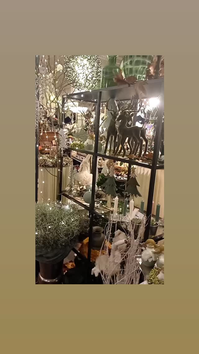 Christmas is coming🎄