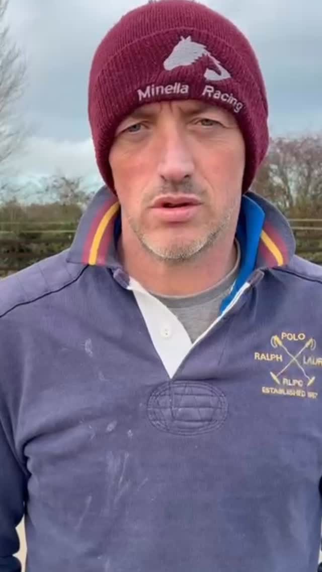 🎁 Give the gift of Minella this holiday season 🎄Thanksgiving, Christmas, Hanukkah - this lads ready for all occasions!#racehorse #winnerwinnerchickendinner #thoroughbreds