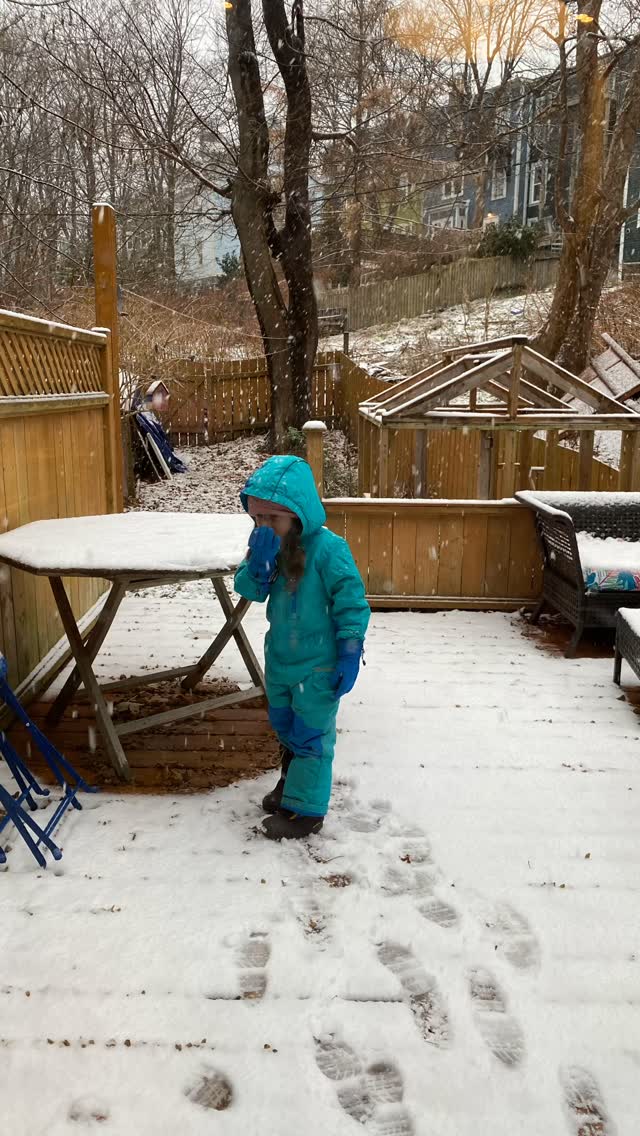 Winter came and we’re ready for it. With construction paper, snowflakes and paperback stars and soondubu bubbling and trips to the coffee shop and dollar store stockings and fresh snow beneath our tongues. Holiday revelries, and holiday rests. 50 collected years of ornaments. First Christmas in a new home.