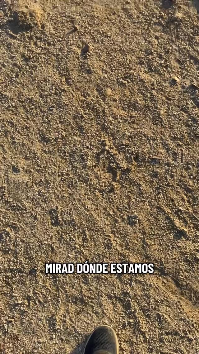 Alineación solar con las Torres de Madrid ☀️🏙️
Hace unos días hicimos una práctica muy especial: intentar capturar la alineación del sol con las Torres de Madrid desde Paracuellos del Jarama, uno de los miradores más espectaculares de la ciudad.
Durante toda la tarde, estuvimos atentos, esperando el momento exacto en que el sol se colocara justo entre las torres. Pero, cuando parecía que iba a suceder… una nube se interpuso en el camino. No pudimos conseguir la imagen que habíamos planeado, pero el cielo nos regaló un espectáculo visual impresionante, un atardecer de esos que te dejan sin palabras.
Y es que la fotografía de paisaje tiene eso: la naturaleza manda. A veces las condiciones no son las que esperas, y ahí es donde el fotógrafo debe aprender a adaptarse, a mirar de otra forma. No se trata de frustrarse por lo que no salió, sino de aprovechar lo que el momento ofrece.
Porque al final, la fotografía también va de eso: de aceptar, de observar y de disfrutar lo que la naturaleza nos da, aunque no sea lo que habíamos imaginado.
Para planificar esta foto usamos @photopills y @planitphoto
#clasesdefotografia #sol #cursofotografia #tipsdefotografia #tutorialfotografia