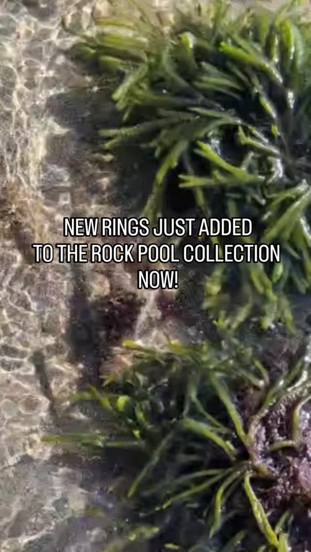New rings in The Rock Pool Collection.
I have been busy working on a stunning set of three rings, all inspired by the seaweed dance and rock pool textures. Just added to my website now.
Each ring is individually made and set with sapphires and diamonds.
#handmadejewellery
#custommade #seaweedjewellery #oceaninspiredjewelry #slowmadejewellery #slowmade