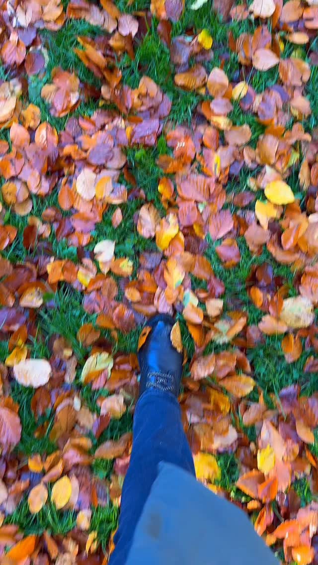 🍁 Difícil não se apaixonar por esse lugar, cada detalhe parece saído de um filme, literalmente! Este é o Templo de Apolo, cenário da icônica cena da chuva de Orgulho e Preconceito do filme de 2005
🎥 Hoje, às 8PM (horário do Reino Unido) | 17h (Brasil), sai no canal o tour completo pelos jardins de Stourhead, um dos mais lindos e famosos do mundo!
⏳ Ativa o lembrete e prepara o coração… o vídeo de hoje está simplesmente cinematográfico.
#irmasviajantes #emiloudaybyday #orgulhoepreconceito