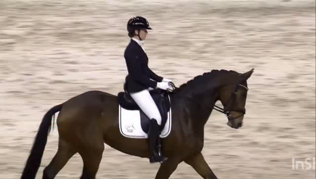 ✨ Wat een droom! ✨
Bo en ik mochten samen starten op Jumping Indoor Maastricht 🤩🐴
We reden in de M2 en werden beste dressuurruiter! 🏆🥰
Bo heeft zich echt van haar allerbeste kant laten zien, ik ben zo trots op haar 💖
Wat een ervaring om op zo’n prachtig evenement te mogen starten🙏🏼
Nog steeds aan het nagenieten!
Een enorme dankjewel aan al mijn supporters, trainer, vrienden en familie🫶🏼