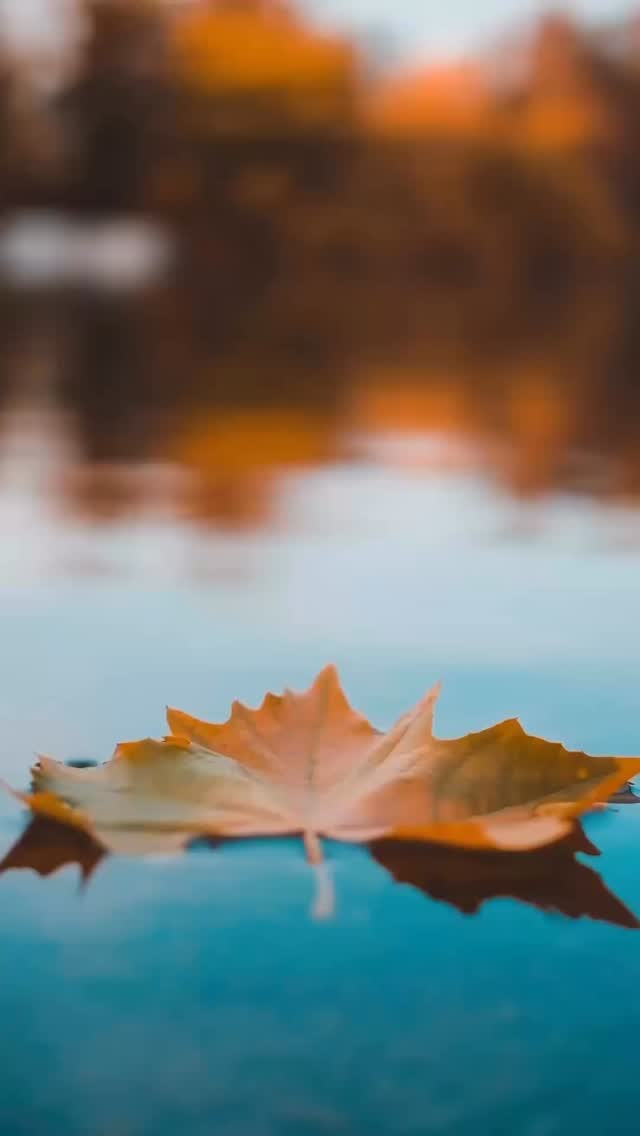 Quand l’air se fait plus frais et que les journées raccourcissent 🍁
Il est temps pour nous aussi de faire une pause 🌬️
🚪 Fermeture annuelle jusqu’à fin mars 2026 !
Merci à toutes et tous pour cette belle saison 🙏
On se retrouve bientôt, pleins d’énergie et de nouveaux projets 💪
D’ici là, profitez, respirez 🌿
L’équipe Cyclelec 💛
#instareel #reelfrance #reelviral #reeltendance #instagood #ɪɴsᴛᴀᴅᴀɪʟʏ #explorefrance #ᴇxᴘʟᴏʀᴇᴘᴀɢᴇ #ViralReel #reeldujour #tendances2025 #viralcontent #seeyouagain #fermeture #fy #pourtoi #viral