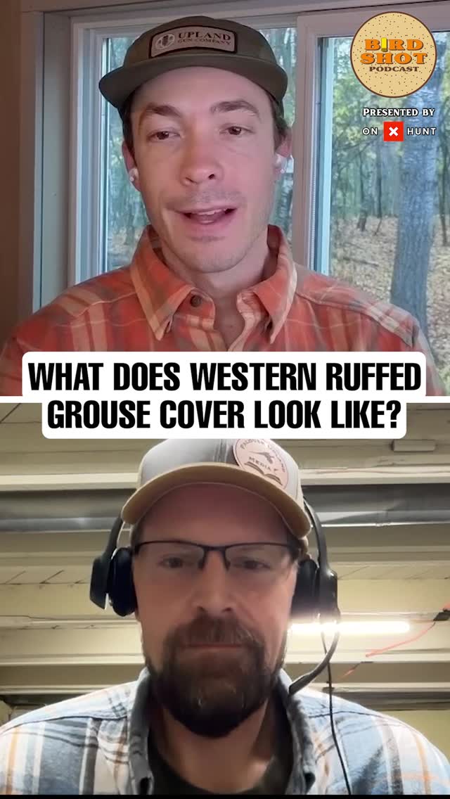 Ruffed grouse don’t care what looks good on the map.
In this episode of The Birdshot Podcast, host @nilarson13 asks Brad Trumbo to break down what makes western ruffed grouse cover truly productive.
🎧 Listen to the full episode, link in the bio.
#uplandhunting #birdhabitat #grousehunting #westernhunting #birdshotpodcast #habitatmanagement #publiclandhunter #conservationthroughhunting #huntthewest #ruffedgrouse
