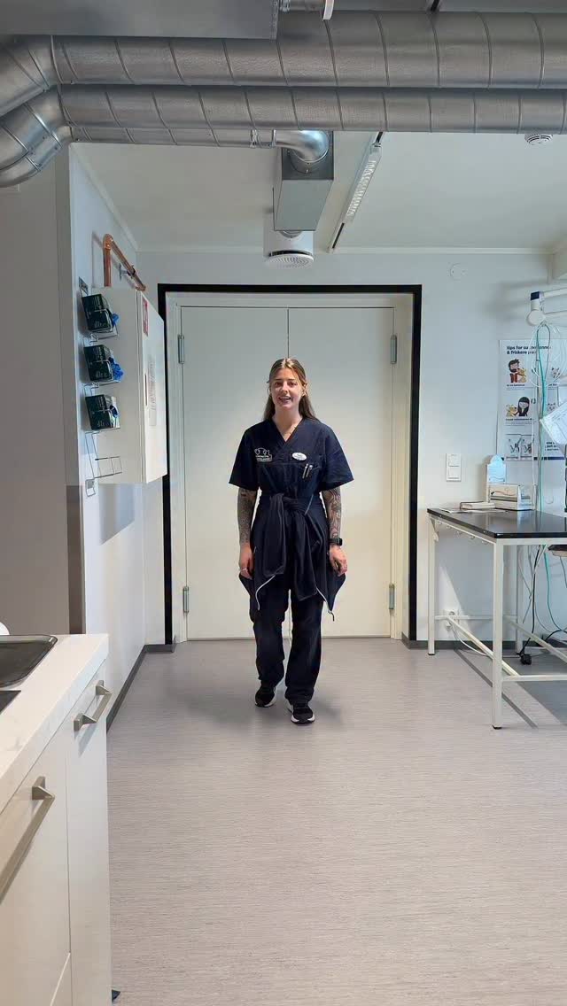 Kollega drama? Vi kaller det underholdning 🤪