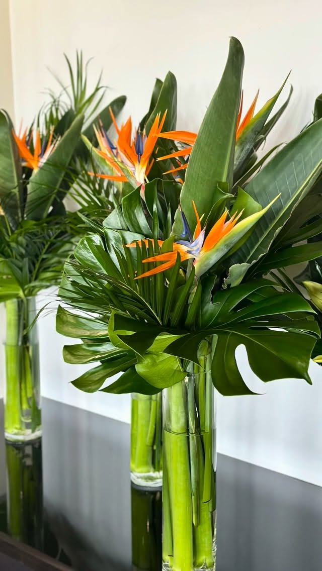 Wishing Homestead Miami Speedway a very Happy 30th Anniversary! Congratulations on this milestone 🏁👏
#designsbydarenda #flowers #flowerstagram #freshflowers #tropical #corporate #happyanniversary #homesteadmiamispeedway #nascar #racecars