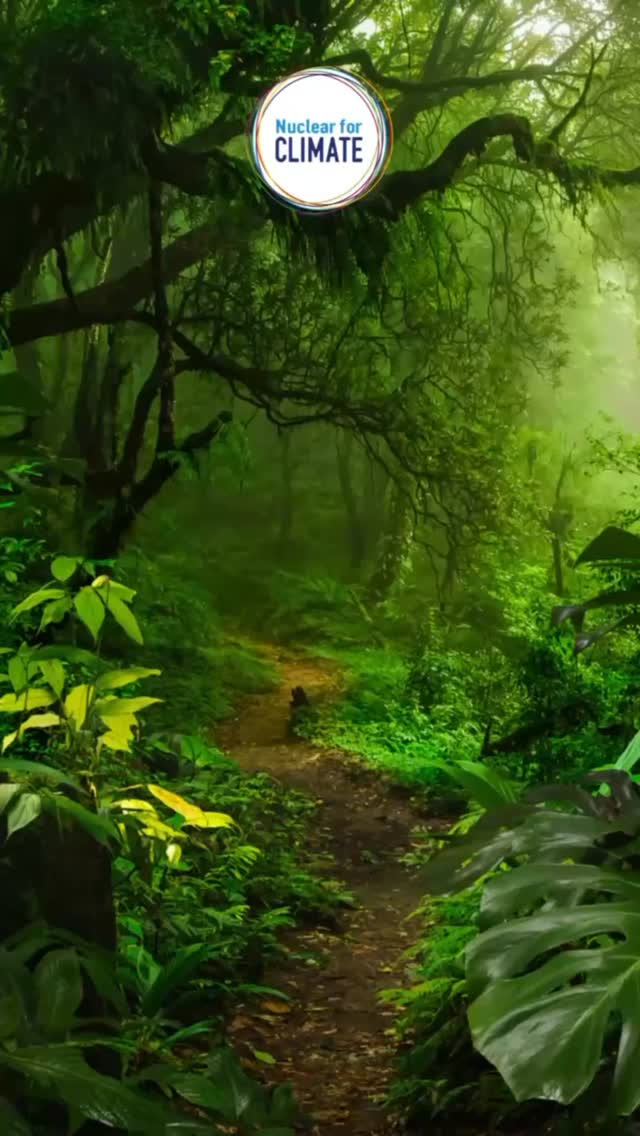 🌍 Today at our COP pavilion, we were honoured to welcome two distinguished guests:
🔹 Mikhail Chudakov, Deputy Director General and Head of the Department of Nuclear Energy at the IAEA
🔹 Wei Huang, Director of the Division of Planning, Information and Knowledge Management (NEPIK), Department of Nuclear Energy, IAEA
Both took part in our Score For Climate activity — because Net Zero needs Nuclear ⚛️💪
Thank you for joining us and marking a few extra “goals for Net Zero”! 💚⚽️
#NuclearForClimate #IAEA #ClimateAction #NetZero #COP30