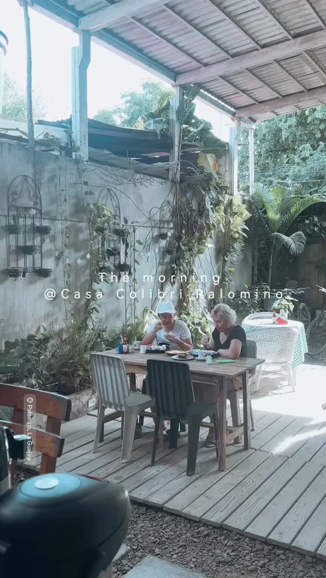 ☀️Mañanas en Casa Colibrí Palomino. El tiempo transcurre con suavidad, como la brisa que acaricia las hamacas. 🌴
Empieza el día con una buena taza de café en un ambiente relajado. 💛
☀️ Mornings at Casa Colibrí Palomino. Time moves gently — just like the breeze through the hammocks. 🌴
Start your day with a good cup of coffee surrounded by chill vibe. 💛
📍Palomino, La Guajira
#CasaColibriPalomino #MorningVibes #TropicalMorning #palominoguajira #ColombiaTravel #EcoLodge #SlowLiving #healthybreakfast #JungleRetreat #PeacefulMoments #MorningLight #TravelColombia #HiddenParadise #RelaxAndUnwind #NatureLovers #BuenosDías #DespertarNatural #ColombiaMágica #TurismoSostenible #VidaLenta #DescansoPerfecto #NaturalezaViva #AmanecerEnPalomino #ViajaPorColombia #ParaísoEscondido #CasaEnLaSelva #RinconesDeColombia #ColombiaNatural