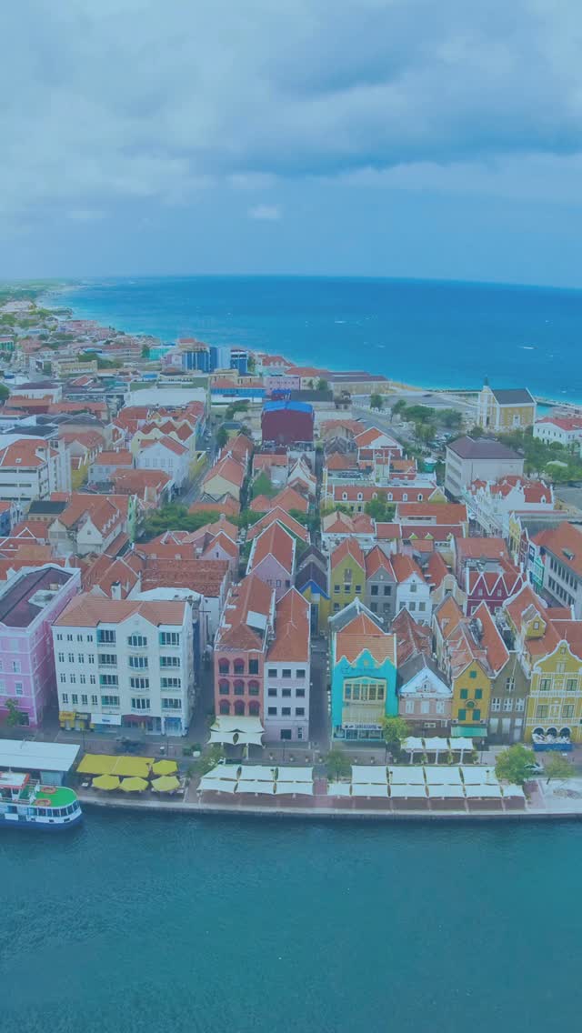 Excitement is building — IMCC 2025 is almost here!
Meet global experts, connect with colleagues and share insights that move healthcare forward.
🎟️ Don’t miss out — secure your ticket today and be part of this unforgettable event in Curaçao!
•
#RehabilitationSience #physicaltherapy #occupationaltherapy, #speech #therapy #psychology #trauma #research #future #healthcare #ICF #DAT
#IMCC2025 #IMCC #IMCCuracao #internationalmedicalconferencecuracao #medicalconferencecuracao #medconferencecuracao #medicalconference #medicalevents #medicaleducation #medicalinnovation #HealthTech #MedicalProfessionals #MedicalCommunity #MedicalResearch
@dolphintherapycuracao @kiki.kuhnert @dolphinsuitescuracao @curacaowellnessassociation @cinexcur @jeanettem.bonet @drolaf2023 @curacao_medical_center @gobiernudikorsou @misterieowcs @meocur @canchildcentre @rehakind_e.v @guardiangroupdc @labdemed @mambobeachblvd @adc_nv @timmyandfriendsorg @green.nexa @royalseaquariumresort @klm @casino.aqua @mcbcuracao @stmartinusuniversity @avalonuniversity @cmusom @misterieowcs @meocur @dolphintherapycuracao @kiki.kuhnert