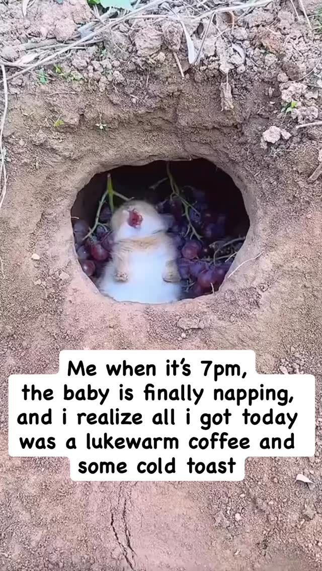 Blood sugar regulation is serious business in pregnancy and postpartum.
No, we aren’t gonna shame & blame here.
Instead, let’s hack the system!
⏰ Time any supplements or medications (if allowed) that need an empty belly with a big glass of water during one of those midnight feeding sessions.
🍴Build a snacks station near your fav nesting spot complete with easy grab healthy options.
Think:
• dates, apples, bananas, grapes, berries!
• whole grain crackers, hummus and veggies
• that small cooler you’re already using for pumped milk can also store
• yogurt, cheese, cold cuts, protein wraps, those cute mason jar salads with nuts and seeds and dressing on the bottom for a quick shake and mix
The point is, keeping your blood sugar regulated with snacks and meals throughout the day that complement the deep nutrition you need from whole meals, can save your sanity when the world goes sideways and those meals don’t happen.
Set up your backups and you’ll be less likely to carb binge at 8pm.
Wanna chat more? Find us on our link in bio!
#breastfeedingsupport #ontariobreastfeedingclinic #breastfeedingjourney #newparentsupport #ibclc #newmom #ontariomoms #empowerfamilies #newparents #breastfeeding #ruralmoms