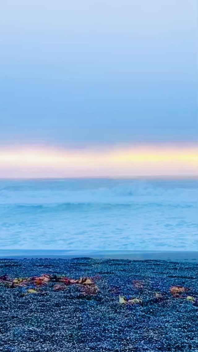 Toxic shells?? Yes, indeed drilling into some shells can be so dangerous it can cause ☠️.
I was house sitting for my friend this week and went beach combing at the beach where we got married in Bodega Bay. Found a piece of shell that would be a perfect pendant. So went back to the house and drilled a hole and almost kept the dust from drilling it, because was so pretty. Thought we could use it for something but Husband said no and threw it out. GOOD THING 🤦🏻♀️!!! Eek!!
My Dad told me when we got back that we “dodged a bullet” since the dust is extremely toxic. Yikes! I had no idea. Spread the word!
#brandeemaecreations #beachcombingfinds #shells #beachdangers #abaloneshell