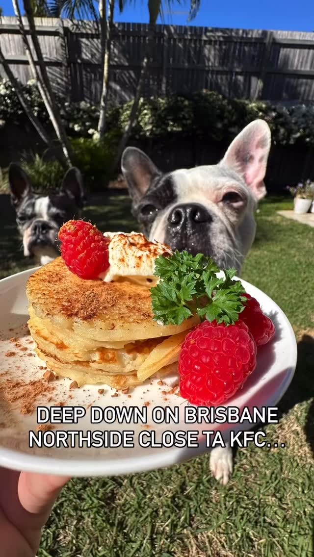 Worlds fastest Stack it eater goes to… @bodhi_utah_pointbark 💪🥇🏆