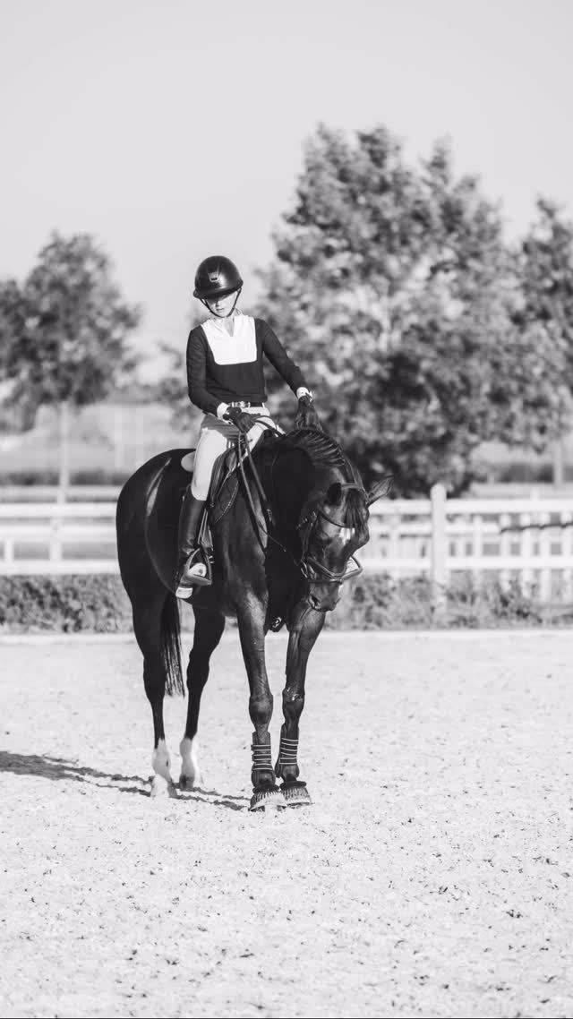 “I can do all this through him who gives me strength”
#horsereflectedcoaching #horsebackriding #horsebackridinglessons #paardrijden #paardrijlessen #jumping #dressage #jumpingdressage #mbequitalents