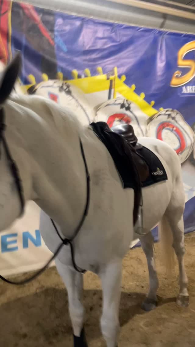 All the horses got to settle in today, Monday. They were all wonderful. Just a little bit tired from the long drive yesterday, but they all seemed very happy to be here. Looking forward to seeing everyone tomorrow! Travel safe❤️#jumpingtothenextlevel #lovethejourney #lasvegasnationals2025 #learningisfun #teamkmt #
