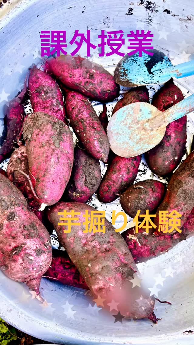 #通信制高校 #通信制高校サポート校 #課外授業 #鹿島学園高校通信制サポート校