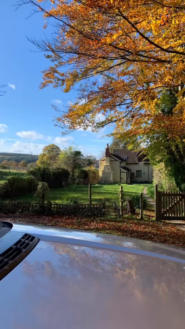 So, here's the utterly absurd recap you've all been waiting for... Just as life was coming together, October decided to drop a grenade called 'Planting Season' and suddenly I'm juggling 12 gardens like a circus pro! We knew our home lease would likely be up in the coming year, but who needs stability when you can be given a surprise notice, right? In all seriousness, we’ve had a fantastic 9 years there and our landlady has been great, just really awkward timing with my workload! Oh, and let's not forget the cherry on top - a roundabout romance with a car that wasn't mine! All this chaos means my shop has not been open as much as it should be and it will be closing its doors in early 2027, but don't worry, I'll still be providing workshops, selling online, at fairs and designing weddings and preserving flowers like a boss!
And, if you need a break from the absurdity, join me for a sane wreath-making workshop this festive season? Foliage is ordered and arriving next week! Jingle all the way x
#rossonwye #herefordshire #gardenshop #visitrossonwye #update #housemove #cottagestyle #chaos #christmas #workshops