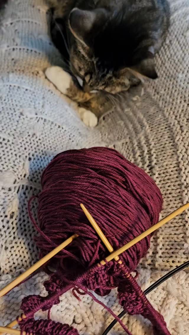 #chillday #chillknitting #catchinguponcuddles #catbath #bathtime #fiberartist #handmade #knithat #catsofinstagram #businesscats #tabbycatsofig