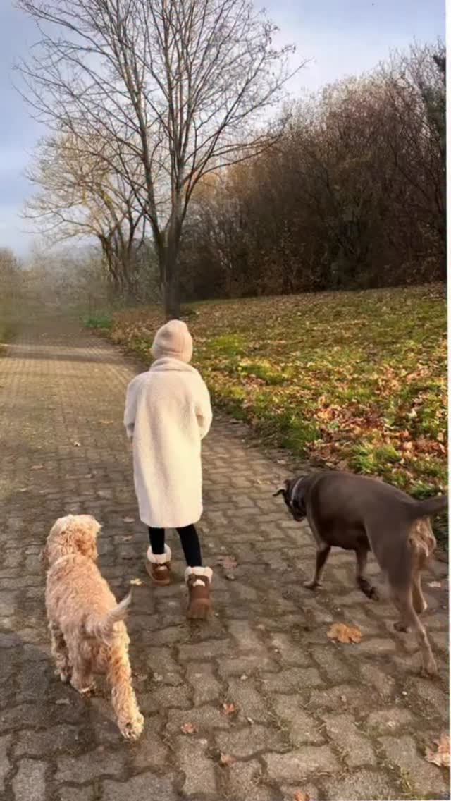 ✨ Wenn ein Kind plötzlich über sich hinauswächst …
… dann geschieht etwas Magisches.
Ein Moment, der tief berührt – und kaum in Worte zu fassen ist.
Ein kleines Mädchen – erst noch zögerlich – spürt plötzlich ihre eigene Kraft.
Sie tritt mutig vor …
ruft meine Hunde zu sich …
und sie folgen ihr – ganz ohne Leine.
Ein Band aus Vertrauen, Präsenz und innerer Stärke entsteht.
Was für andere unsichtbar bleibt, ist für mich pure Gänsehaut:
Ein Kind, das spürt – ich kann das!
Ein Moment voller Stolz, Selbstwirksamkeit und leuchtender Augen.
✨ Genau für solche Erfahrungen mache ich meine Arbeit.
Möchtest du auch, dass dein Kind diese wunderbare Erfahrung macht?
Dann schreib mir gerne und vereinbare einen Termin mit mir. 🤍
#Glowforce #hundegestütztesCoaching #Selbstvertrauenstärken #CoachingfürKinder #innereStärke #achtsamkeitmitkindern #ganzheitlichesCoaching #tiergestütztepädagogik