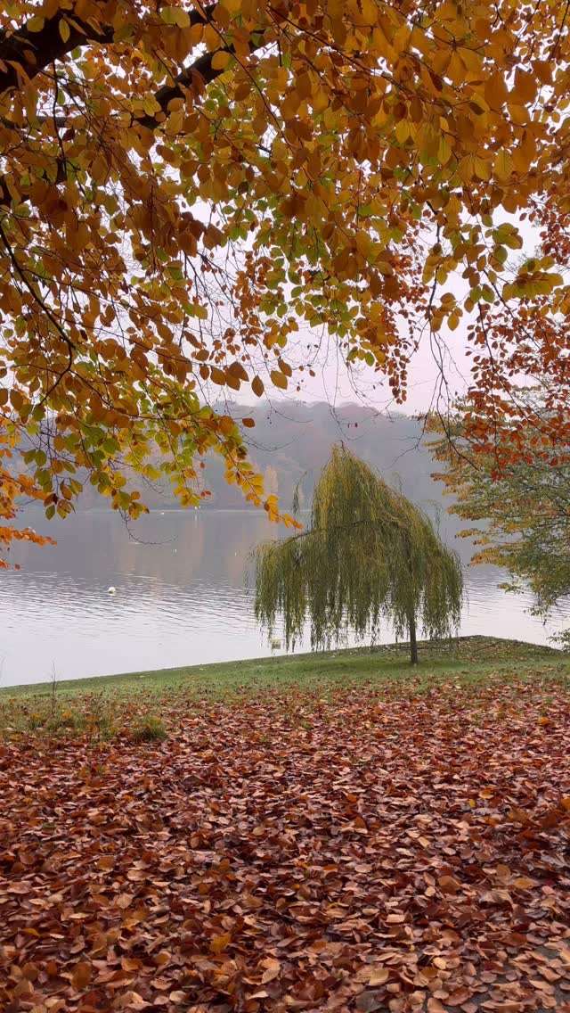 Your autumn reminder 🍁
Your body LOVES small, supportive changes — and autumn is the perfect time to reset your energy, hormones, and stress levels.
Here are 3 simple habits that make a BIG difference:
🔥 Warm, nourishing meals that support digestion
🌞 Vitamin D we usually get through sun light, for bone, teeth, muscle and skin health.
🥣 A real breakfast to balance hormones + blood sugar
If you’re ready to feel more grounded this season, follow for regular women’s health shifts. 🤎
DM for more information & inspiration or visit drgmnutrition.com 🍂
✨ Don’t forget to book your Women’s Wellness MOT - November slots available ✨
Warm wishes, Dr Grace 🌿
#autumnwellness #womenshealthtips #hormonehealth #holisticnutrition #womenswellness #healthhabits #wellnesstipsforwomen