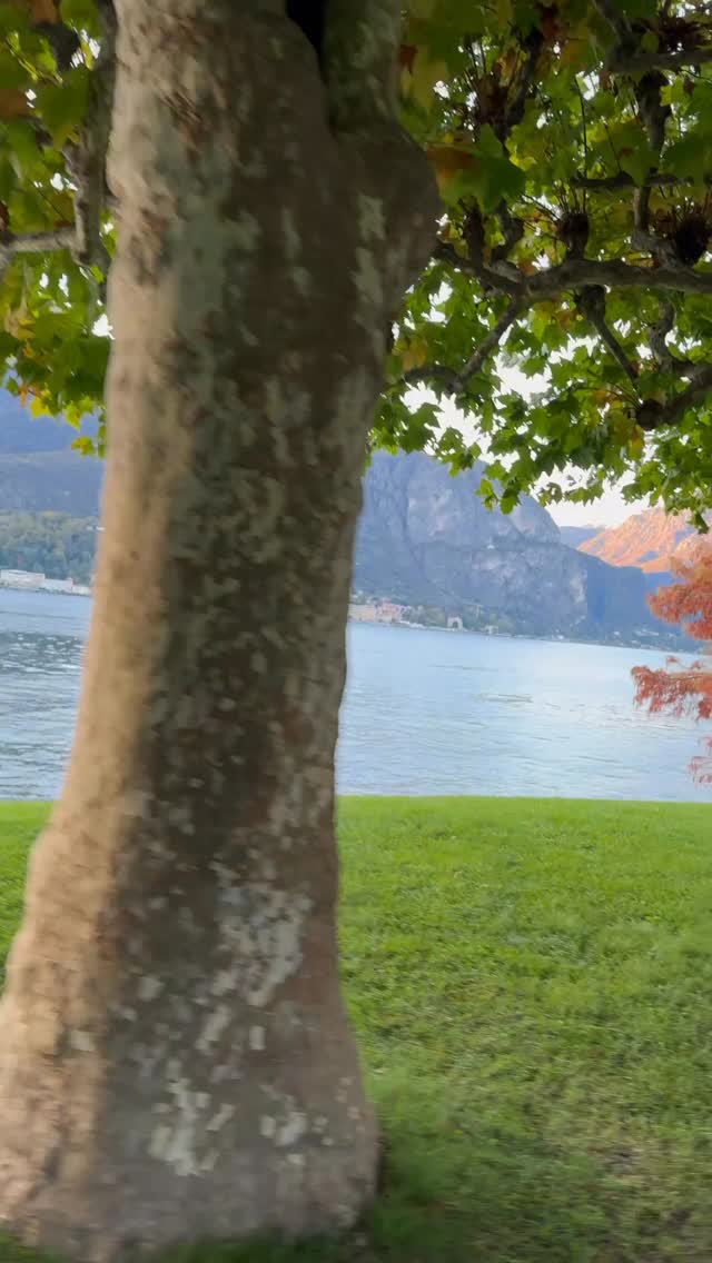 For every creative entrepreneur, founder, or storyteller building something meaningful, this is your reminder that slowing down isn’t losing momentum.
It’s how we make space for ideas, perspective, and purpose to take root.
To say this place took my breath away is an understatement.
Lake Como has a way of slowing you down.
And when you finally slow down, you start to see time differently.
As it goes with a busy career, this trip almost didn’t happen.
So I did both.
I worked, wandered, and remembered why we’re here.
Because growth isn’t about acceleration, it’s about moving at the pace of what matters.
Nature doesn’t rush, and yet everything gets done.
So maybe you’re right on time.
🎥: filmed on Lake Como, Italy