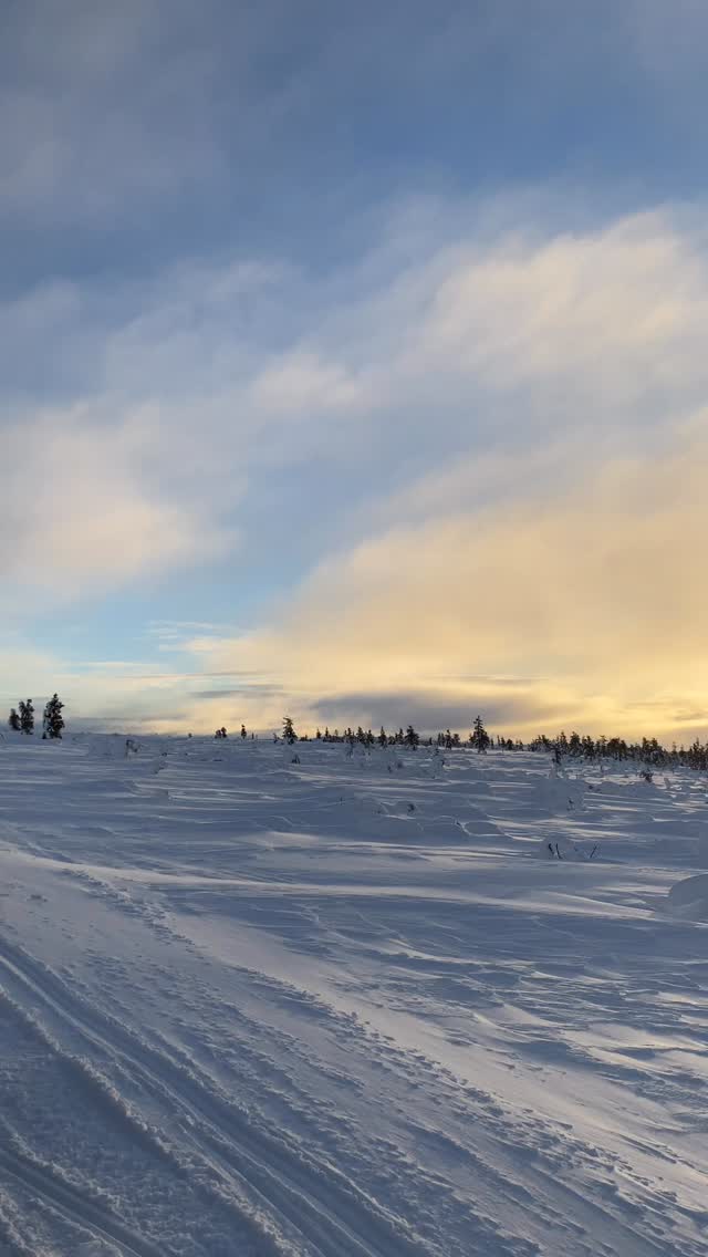 ❄️ On dit souvent que l’hiver est une saison difficile.
Qu’il faut “tenir bon”.
Qu’il faut attendre que le printemps revienne pour retrouver la motivation.
Mais… et si tout ça, c’était une croyance ? 💭
Et si l’hiver n’était pas une épreuve,
mais une opportunité de préparation intérieure ?
L’hiver, c’est la saison où la nature semble dormir…
Mais en réalité, elle se régénère 🌱
Sous la surface, les racines se renforcent.
Le sol se recharge. Tout se prépare.
Et si toi aussi, tu faisais pareil ?
Plutôt que de subir cette période,
👉 tu pourrais l’utiliser pour solidifier ton mental,
👉 poser des intentions,
👉 clarifier ce que tu veux vraiment.
Parce que les plus belles renaissances commencent toujours dans le calme.
Et que le mental, lui, ne connaît pas l’hiver ☀️
Si tu veux découvrir la préparation mentale, c’est le moment, rdv dans ma bio pour réserver ta séance découverte ✨
📸 Souvenir de Finlande ❄️