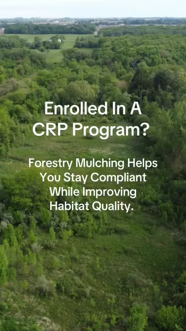 Enrolled in a CRP program? Forestry mulching helps you stay compliant while improving habitat quality. 🌳
#CRPManagement #HabitatRestoration #PrimeHabitatManagement #Conservation